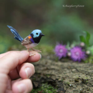 fairywren