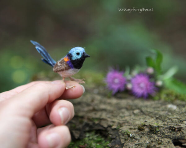 fairywren