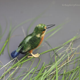 kingfisher