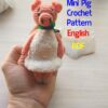 mini piggy