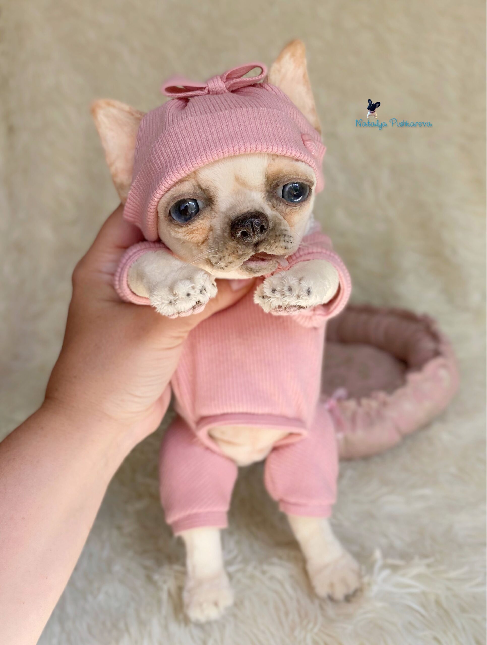 MADE TO ORDER . Chihuahua realistic plush toy . stuffed djg