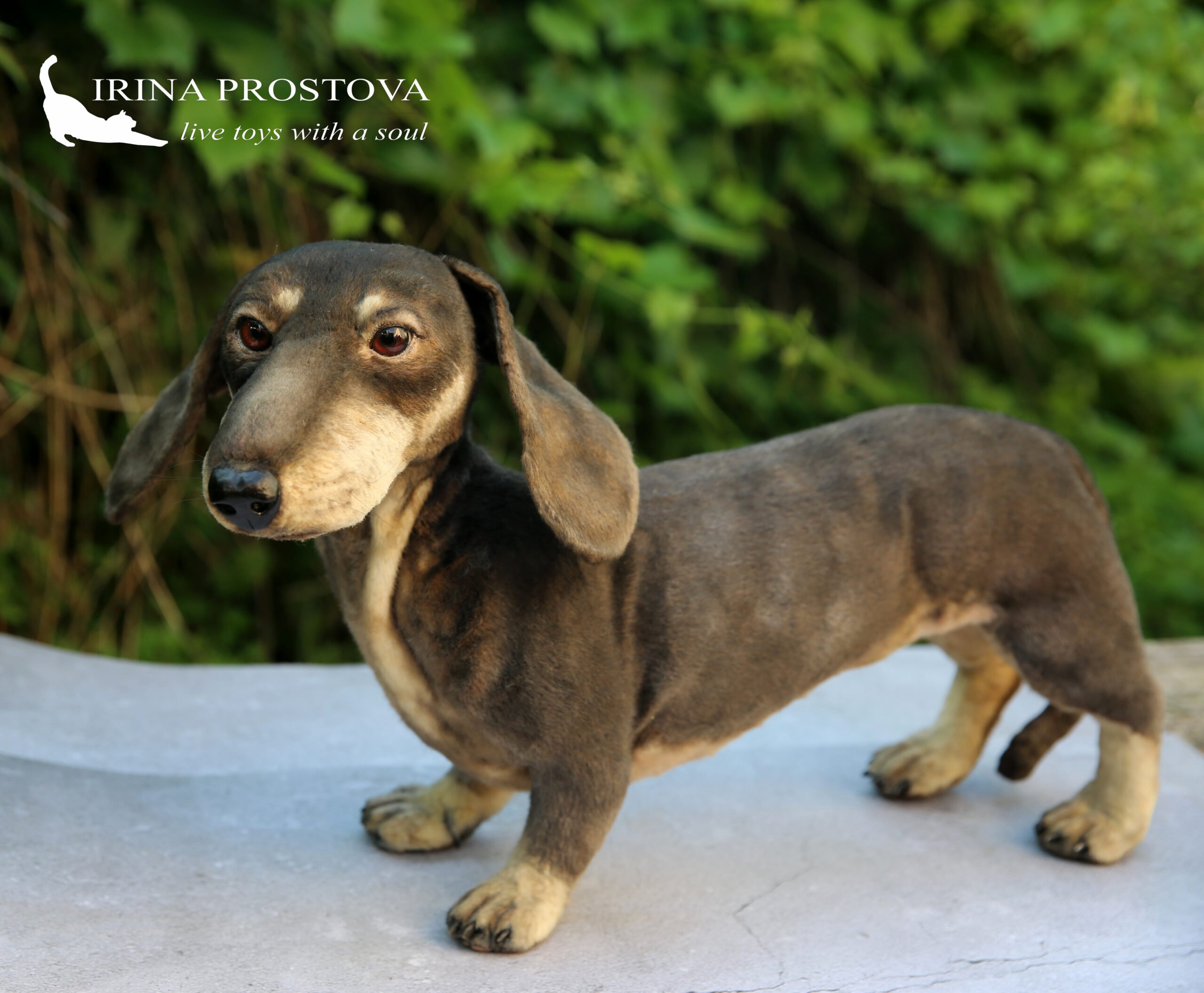 Build Your Own Cute Cartoon Dachshund Dog Model Perfect - Temu Portugal