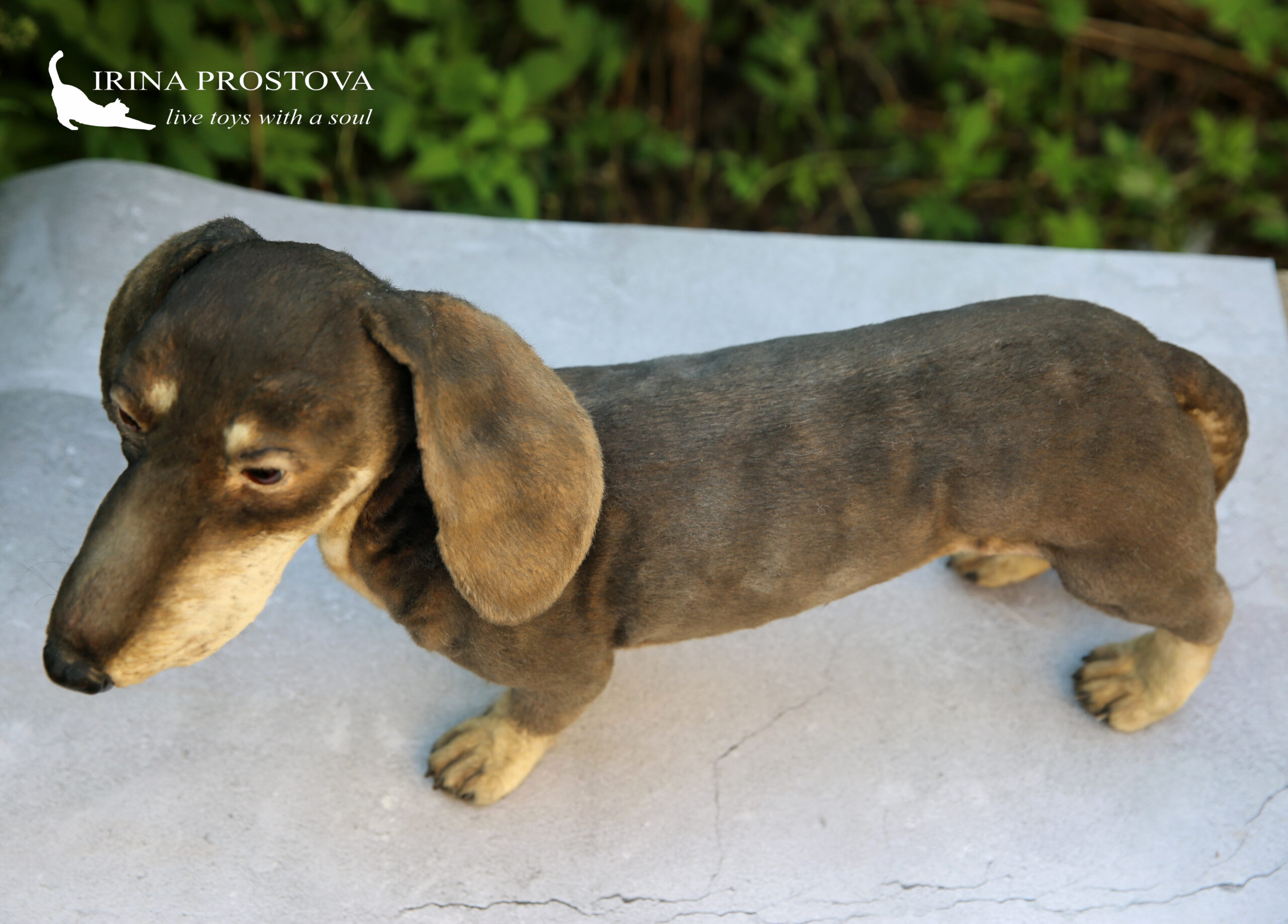 Dachshund Dog Puppet True to Life Look Soft Plush Animal Learning