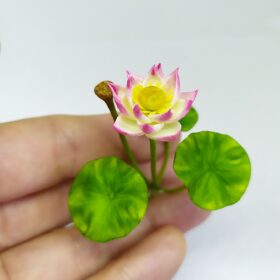 miniature flowers pink lotus