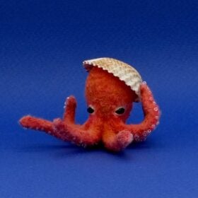 Miniature Octopus Nori