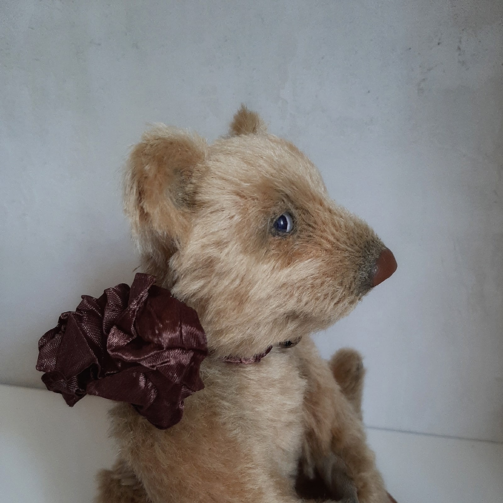 Bear in the style of Teddy Boblik 1 W yS IjOJ5Y