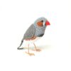 Zebra Finch bird