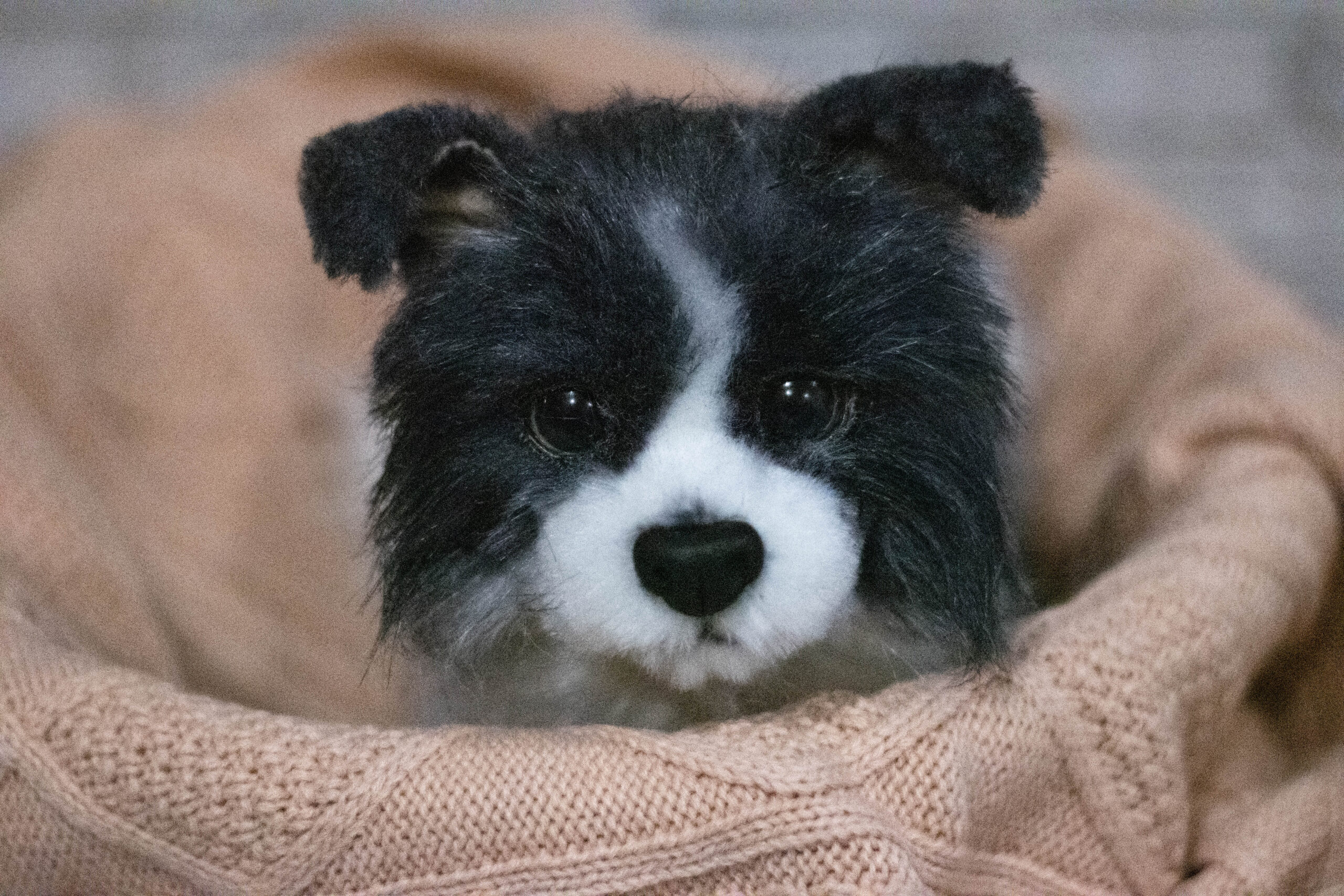 border-collie puppy toy great gift for fans of handmade 1