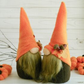 Autumn gnomes