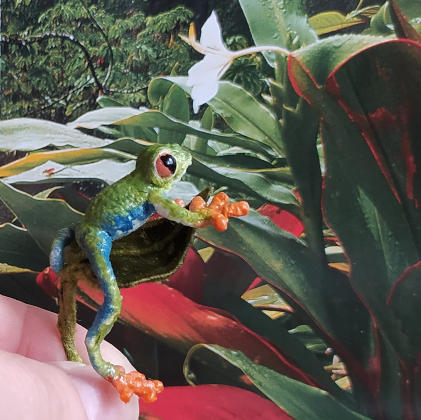 Red-eyed tree frog Miniature collection toy - DailyDoll Shop