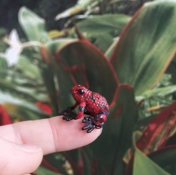 Miniature tropical frog Crocheted collectible toy