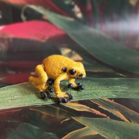 Juguete de colección de la rana tropical dorada en miniatura