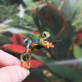 Red-eyed tree frog Miniature Collectible toy