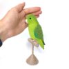 Green Pacific parrotlet