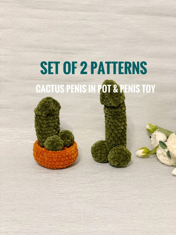 cactus penis and dick