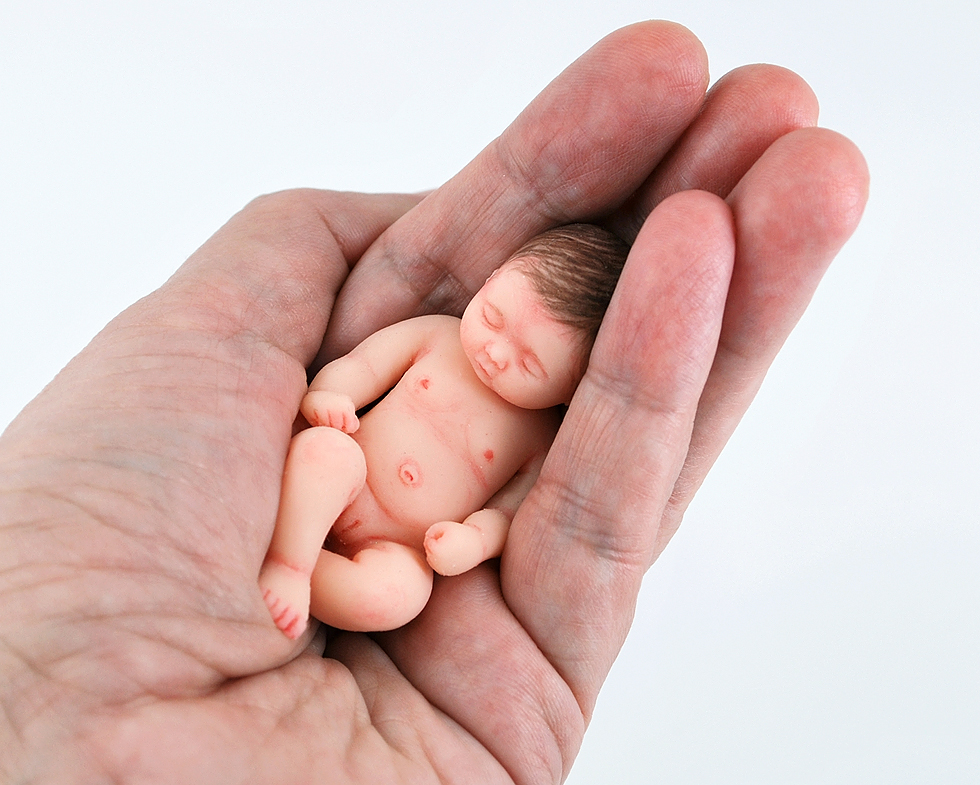 Mini reborn dolls, reborn baby doll silicone baby dolls 6 Mini silicone baby doll