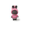 Rubbit bunny gift