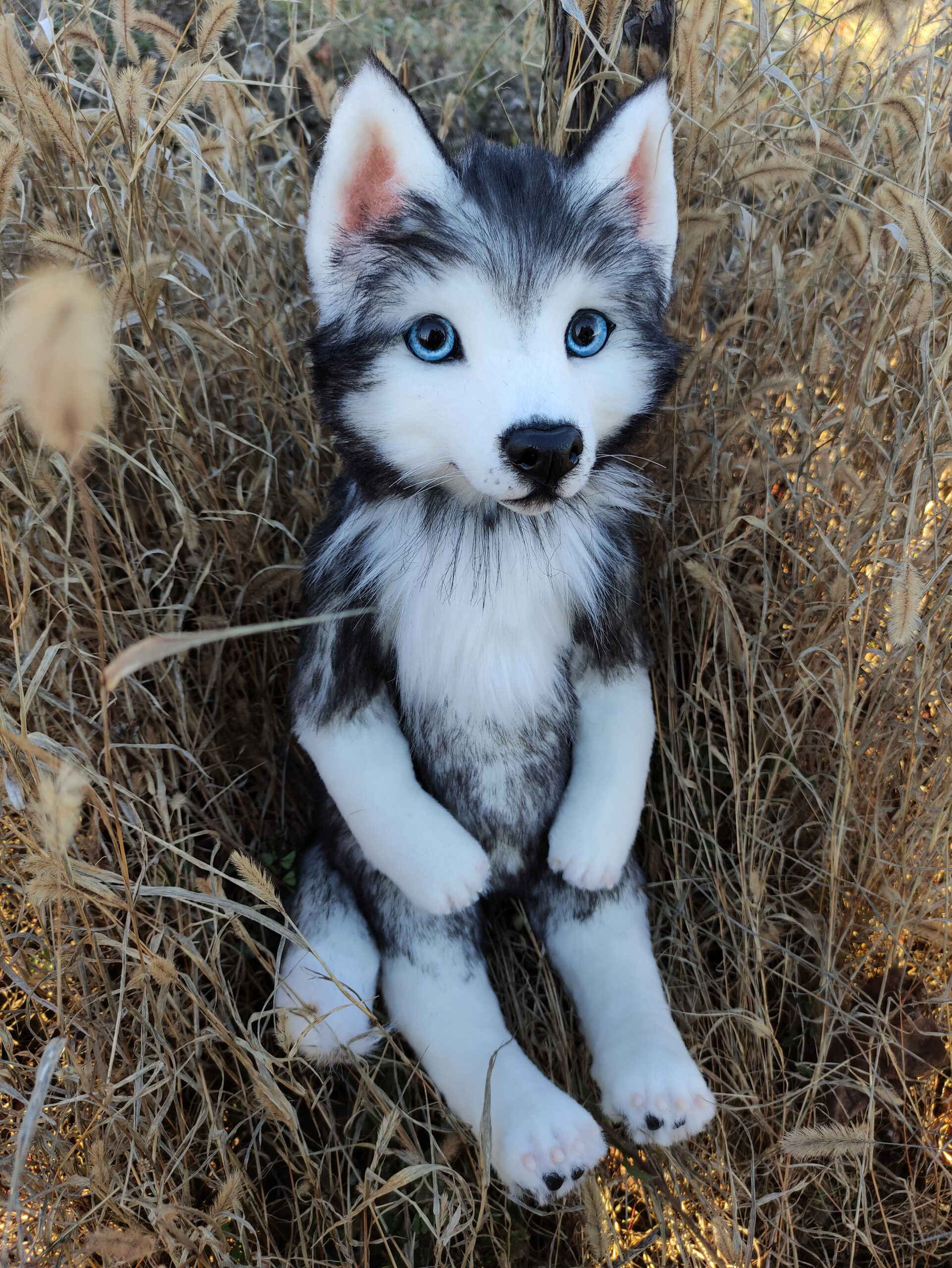 10 siberian husky toys on Tedsby