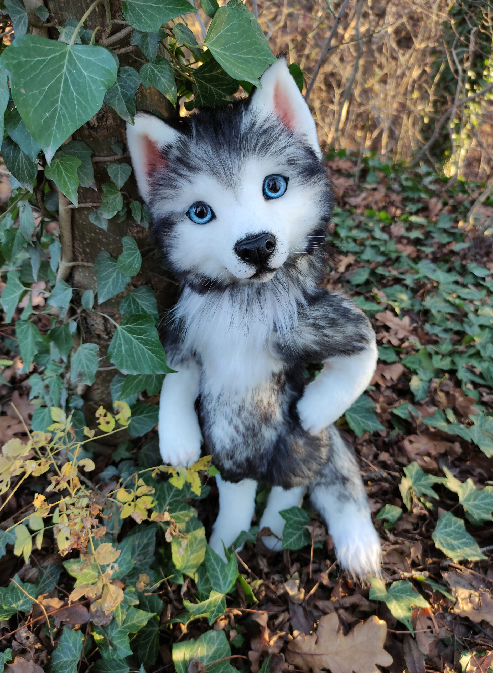 10 siberian husky toys on Tedsby