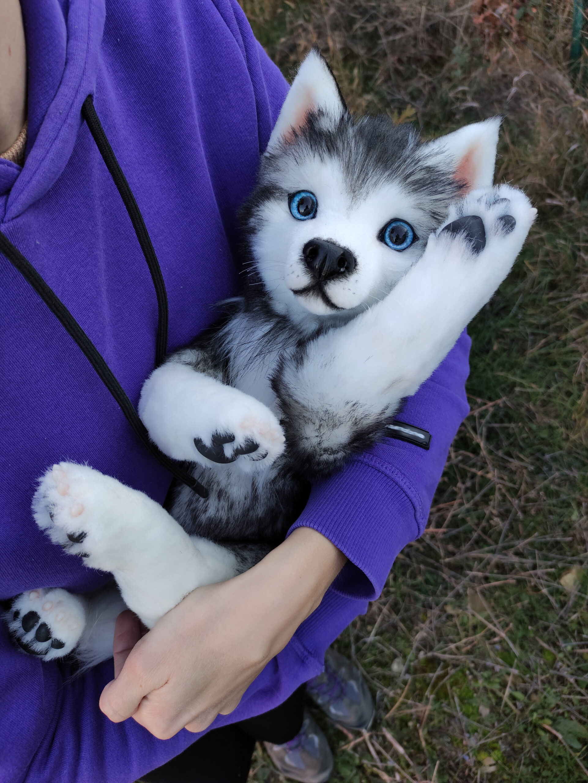 Siberian Husky Plush Toy - Realistic 11 Brown Standing Siberian Husky  Puppy Dog Stuffed Animal Cute Dog Pet Toy, Gift Toys for Kids Birthday