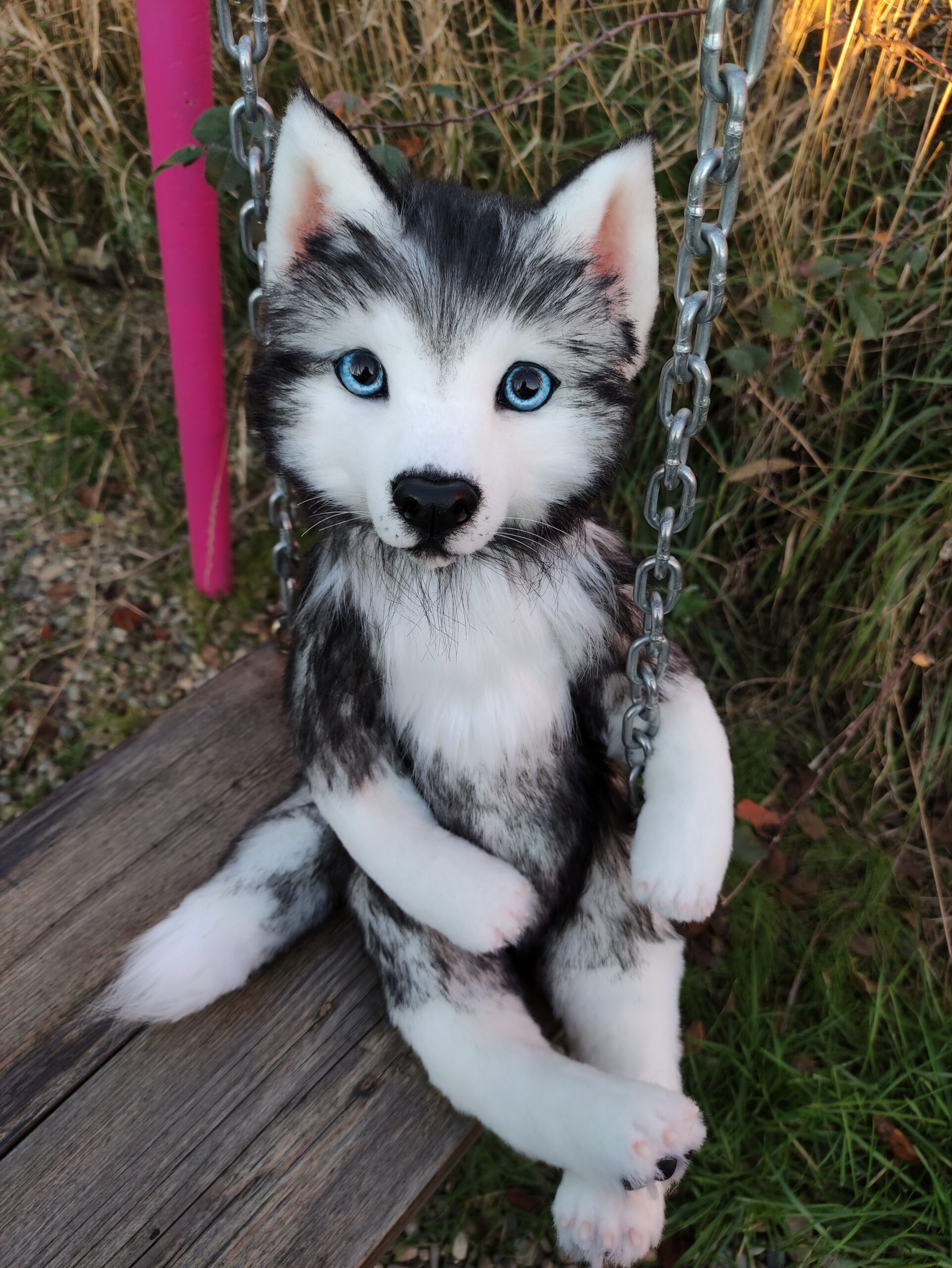 The Best Toys To Get A Siberian Husky - Dog Toys For A Siberian Husky  Puppy! 