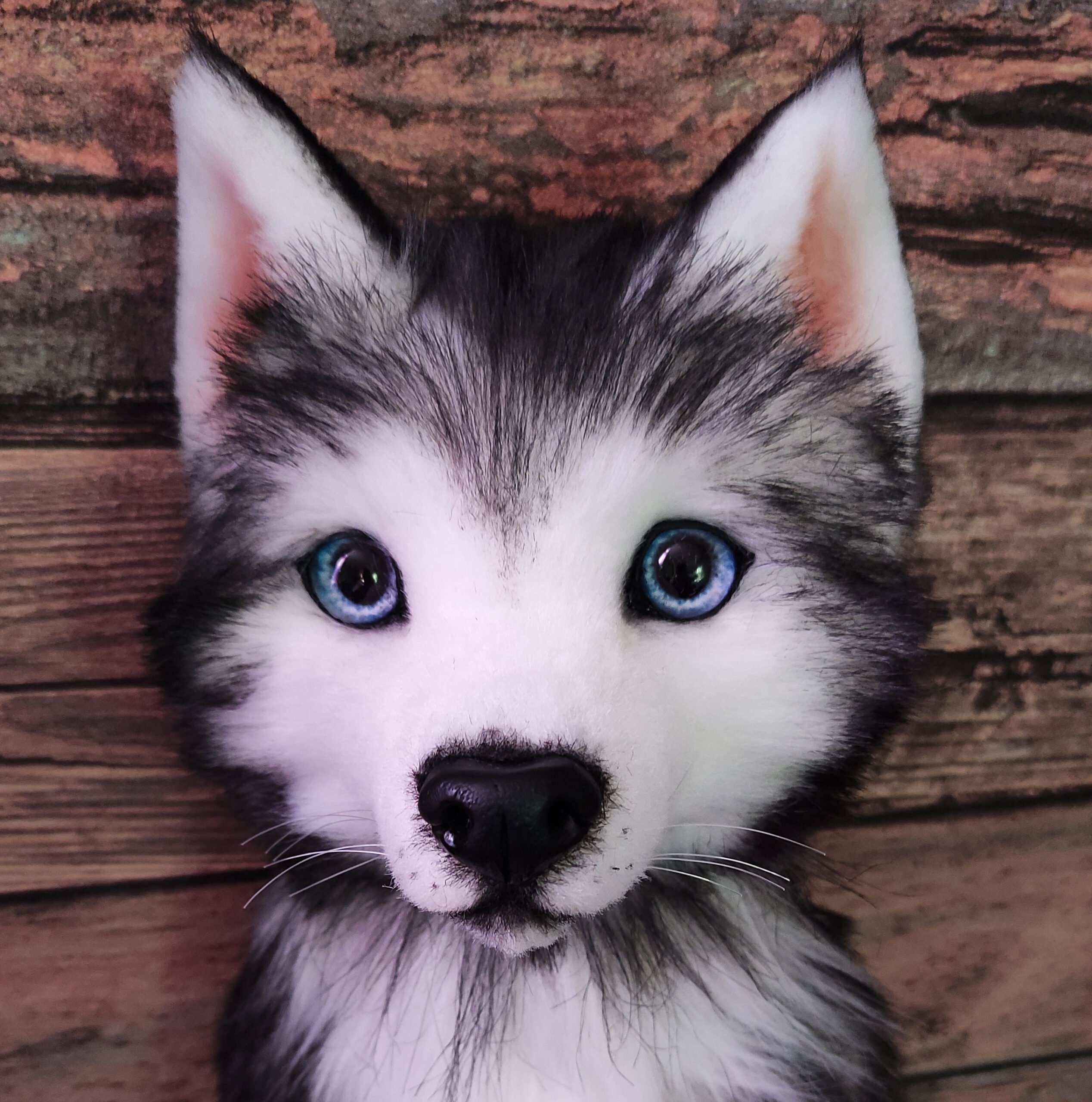 Husky puppy cheap stuffed animal