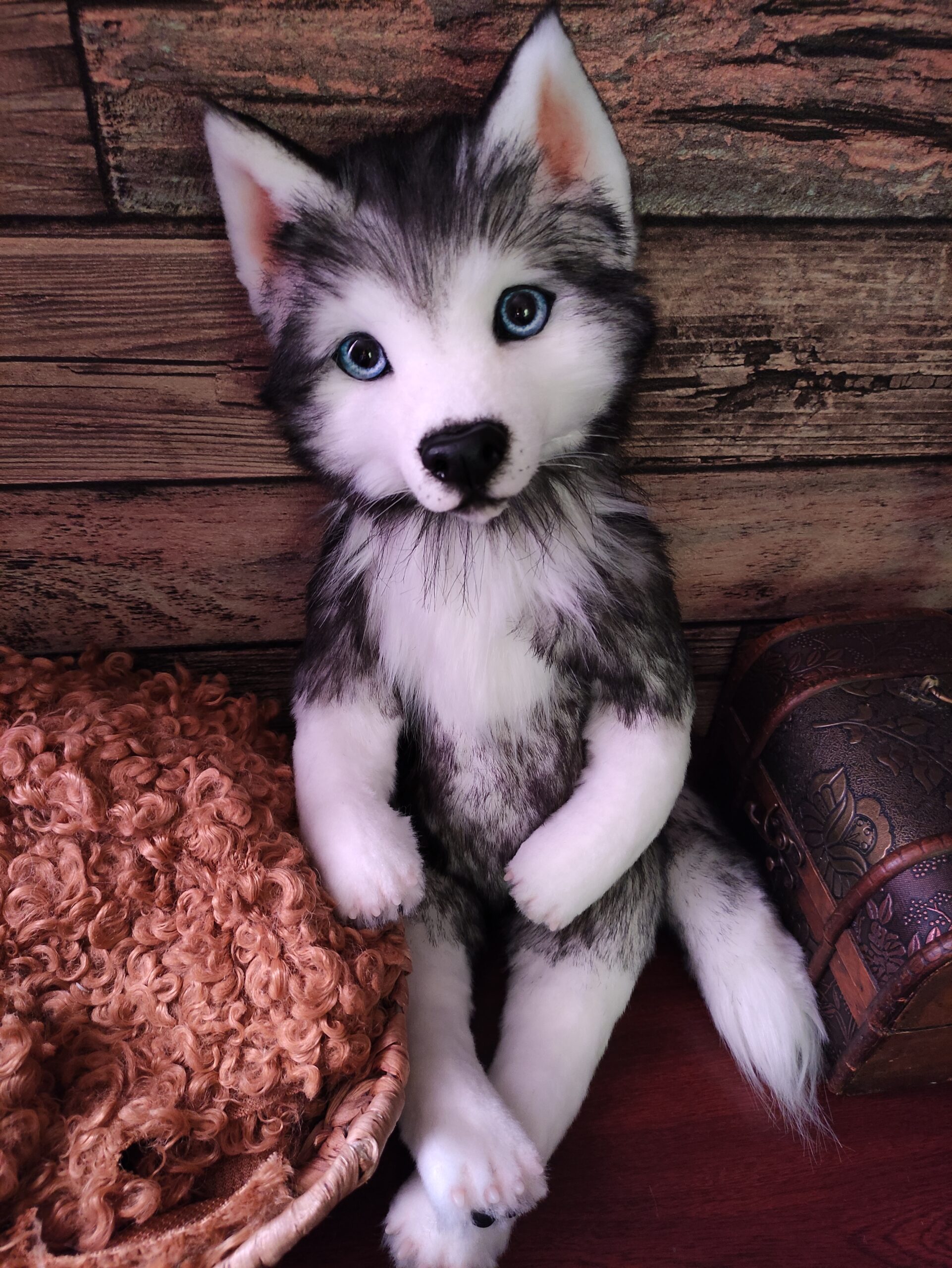 Siberian husky Realistic stuffed animal Handmade teddy dog