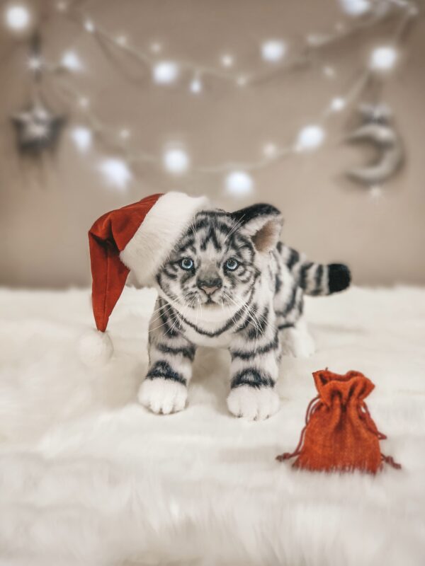 white_tiger_cub