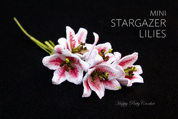mini stargazer lily 6 medium2