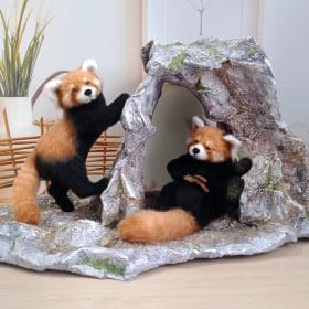 Diorama "Sanctuary of Red Pandas"