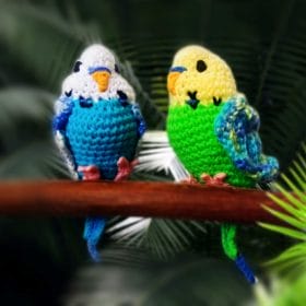 budgie parrot crochet pattern