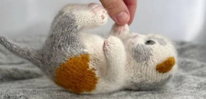 cropped photo 15 2025 08 31 17 33 39.jpg
