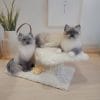 Custom Miniature realistic crochet Ragdoll cats