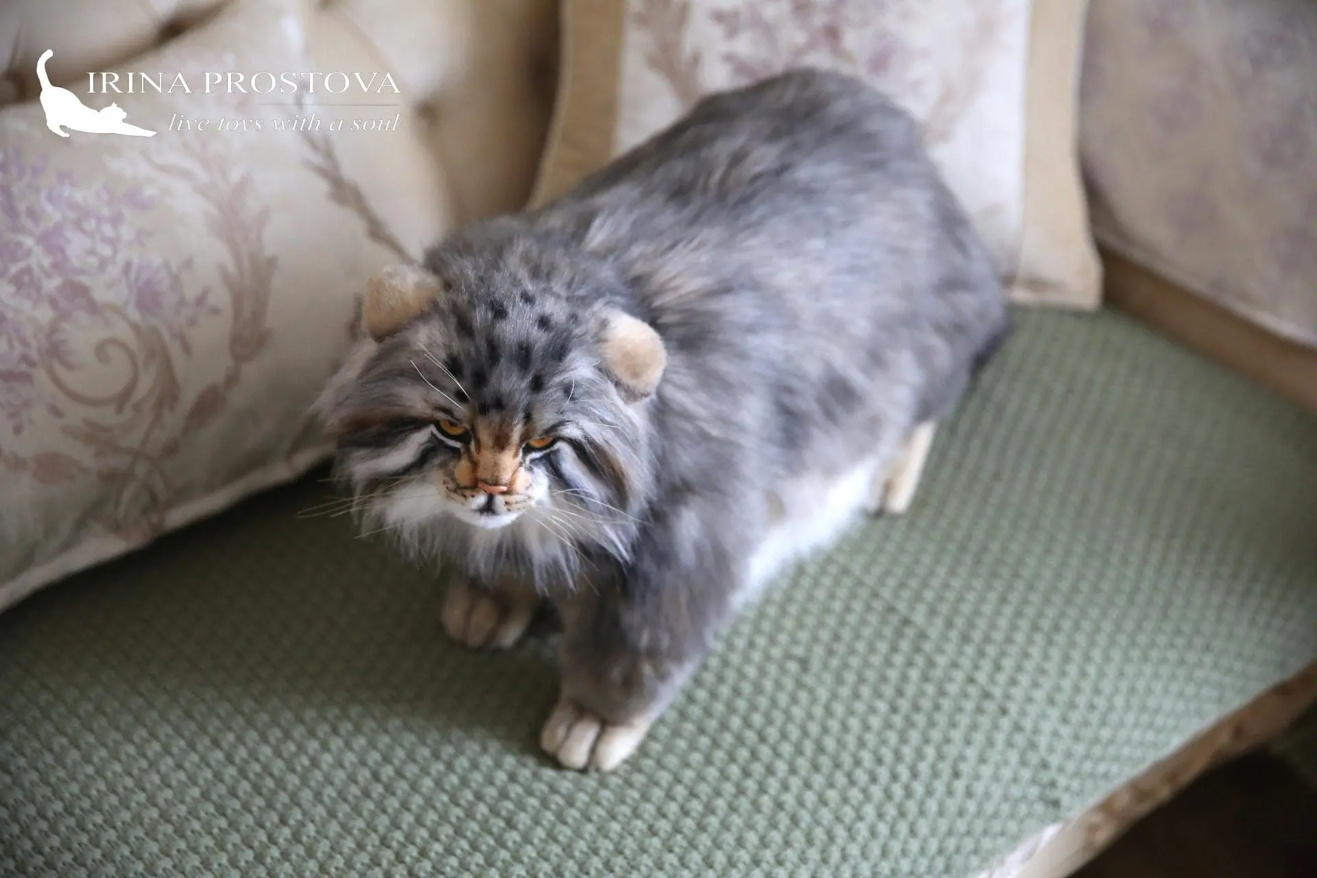Pallas cat realistic toy. OOAK toy. Poseable toy. stuffed animals 7 1s5a2792 1.jpg