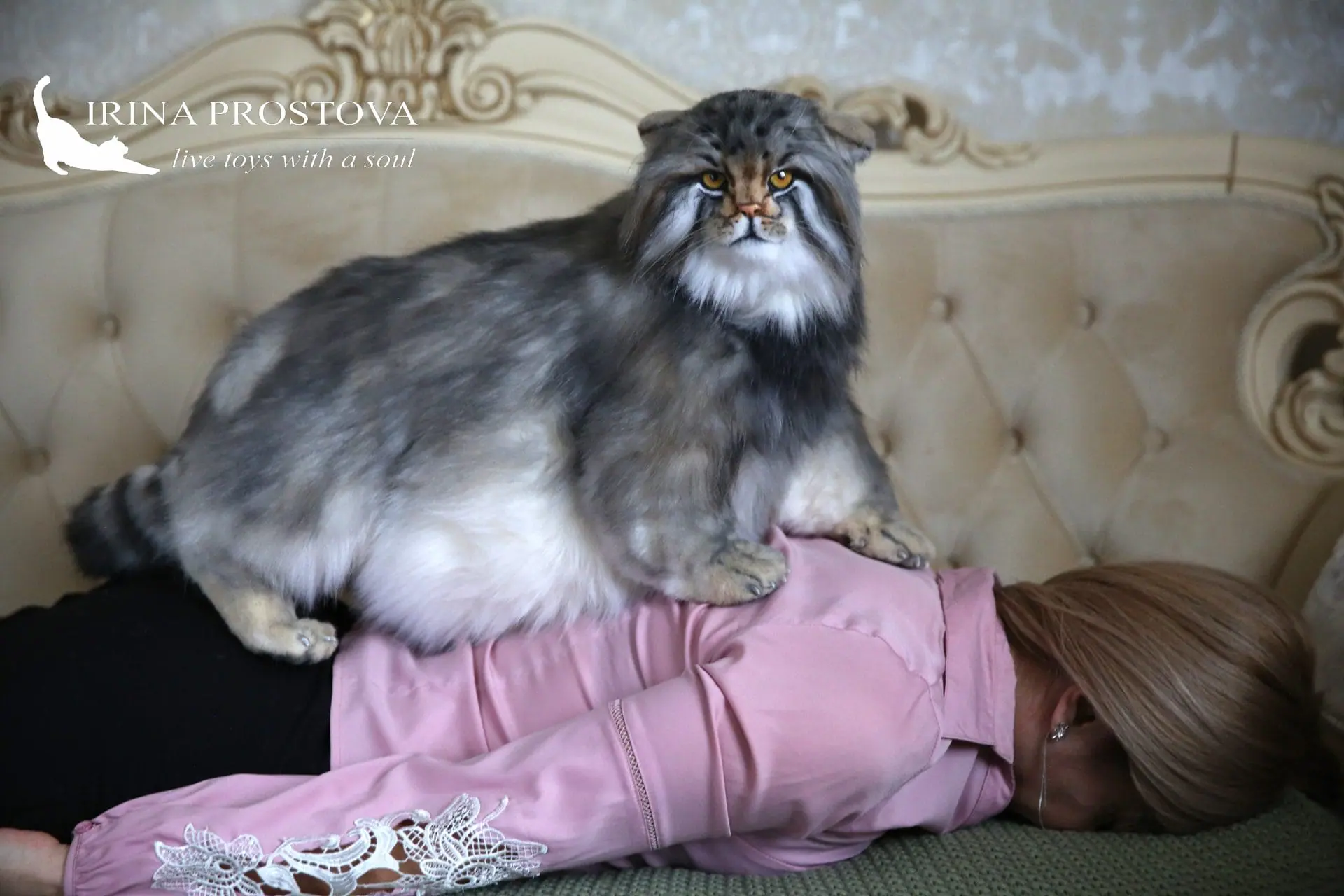 Pallas cat realistic toy. OOAK toy. Poseable toy. stuffed animals 1 1s5a2792.jpg