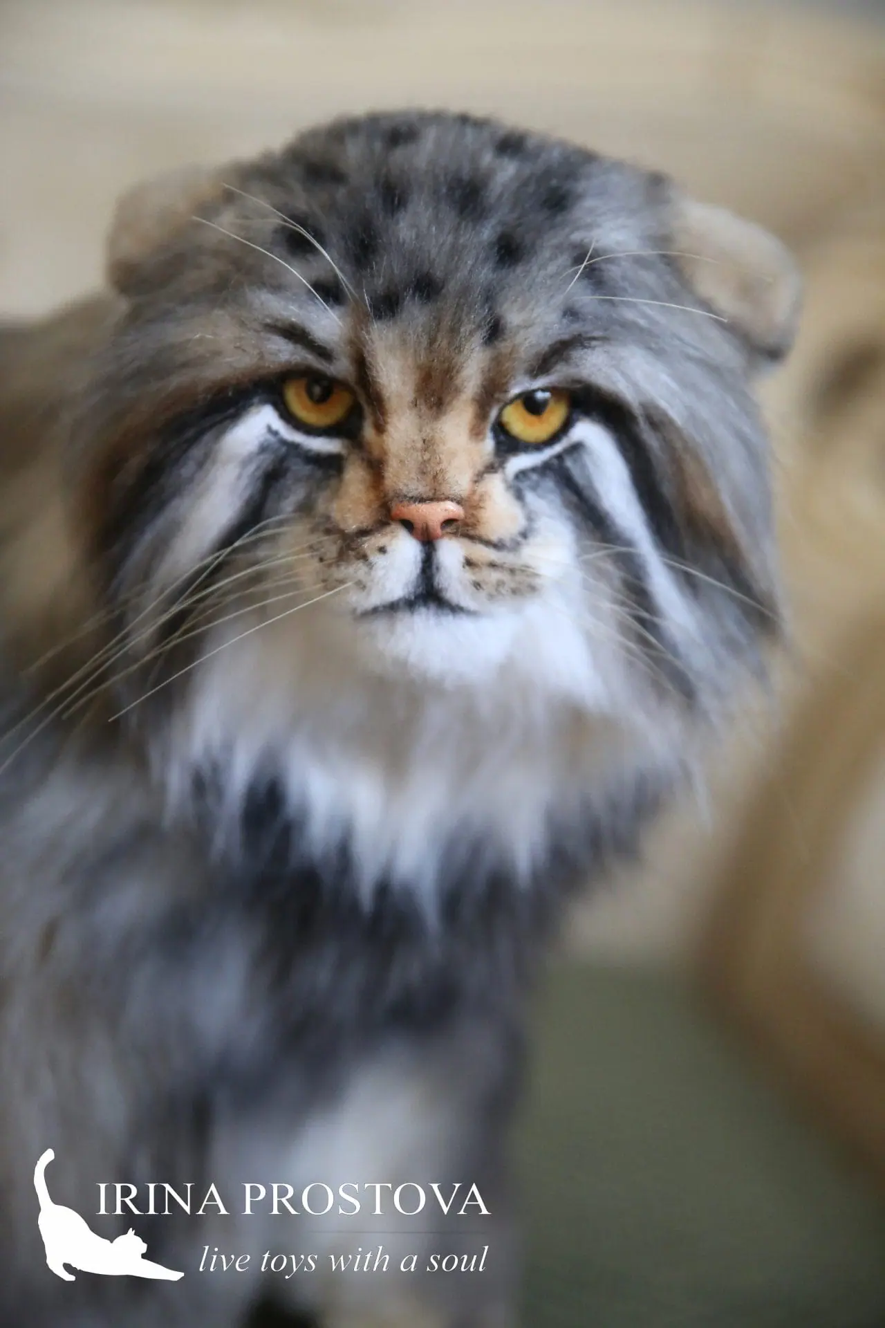 Pallas cat realistic toy. OOAK toy. Poseable toy. stuffed animals 3 1s5a2826 1.jpg