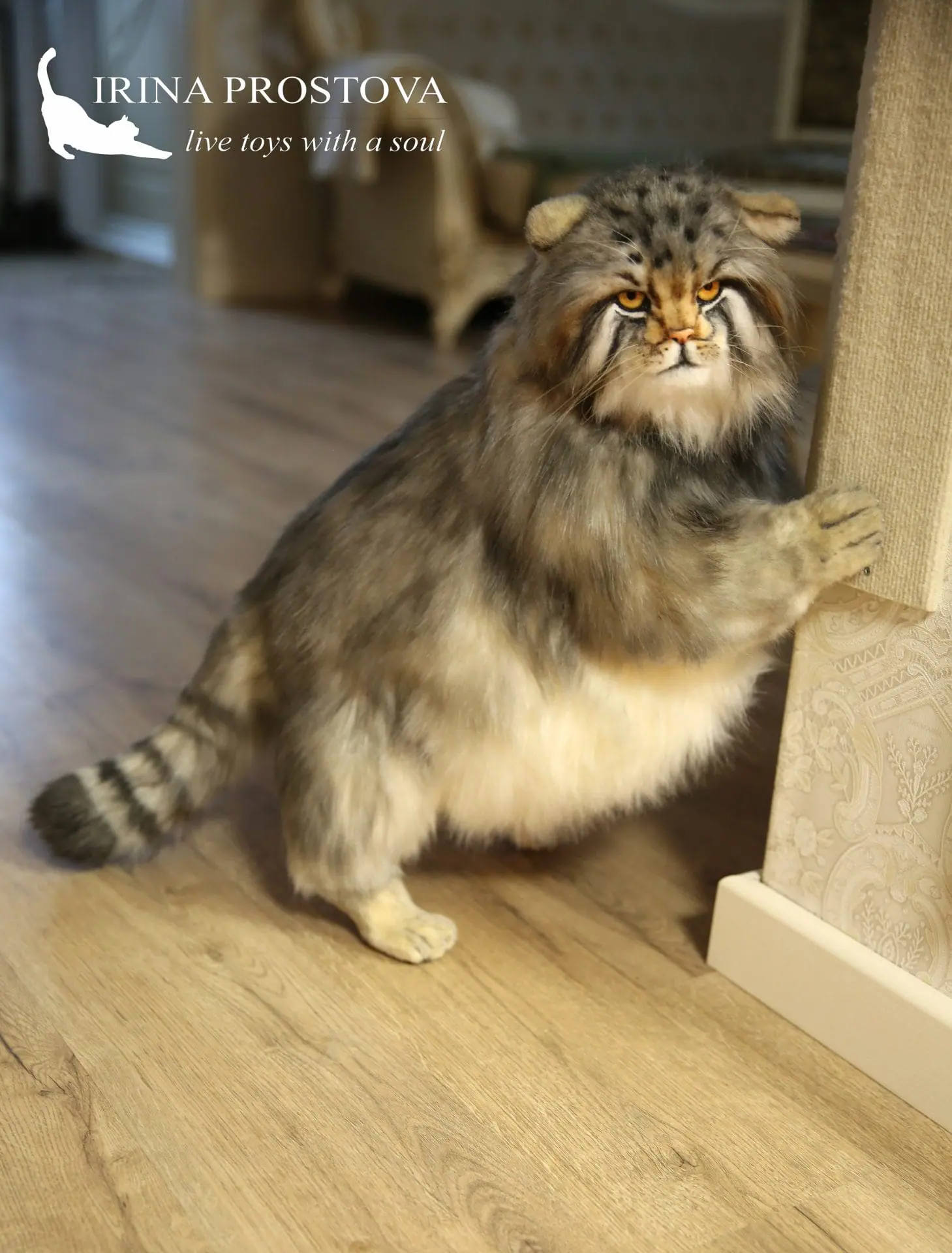 Pallas cat realistic toy. OOAK toy. Poseable toy. stuffed animals 5 1s5a2894.jpg